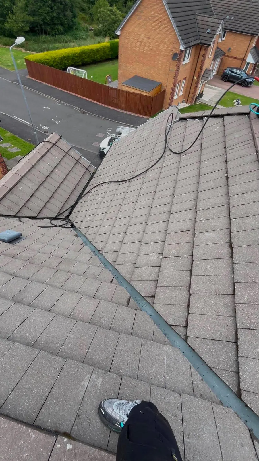 Roof after professional cleaning