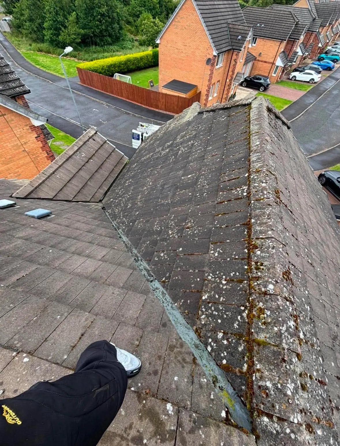 Roof before professional cleaning
